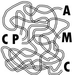 cpa-cpc-cpm